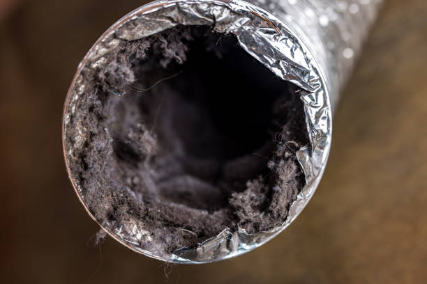 Best Affordable Air Duct Cleaning  in Walnut Creek, NC
