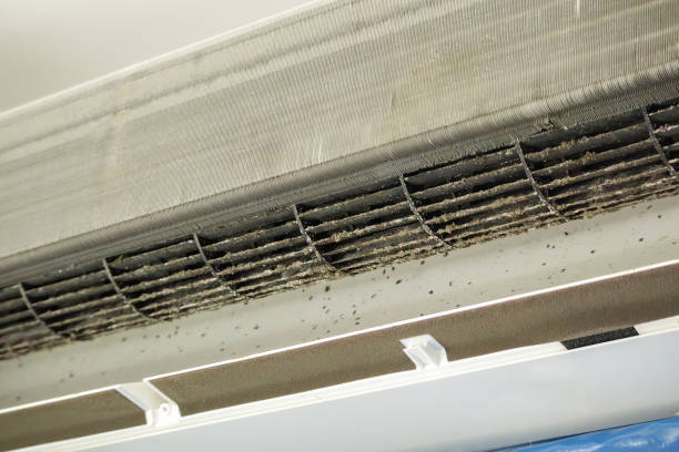 Best Ductwork Cleaning Services  in Walnut Creek, NC